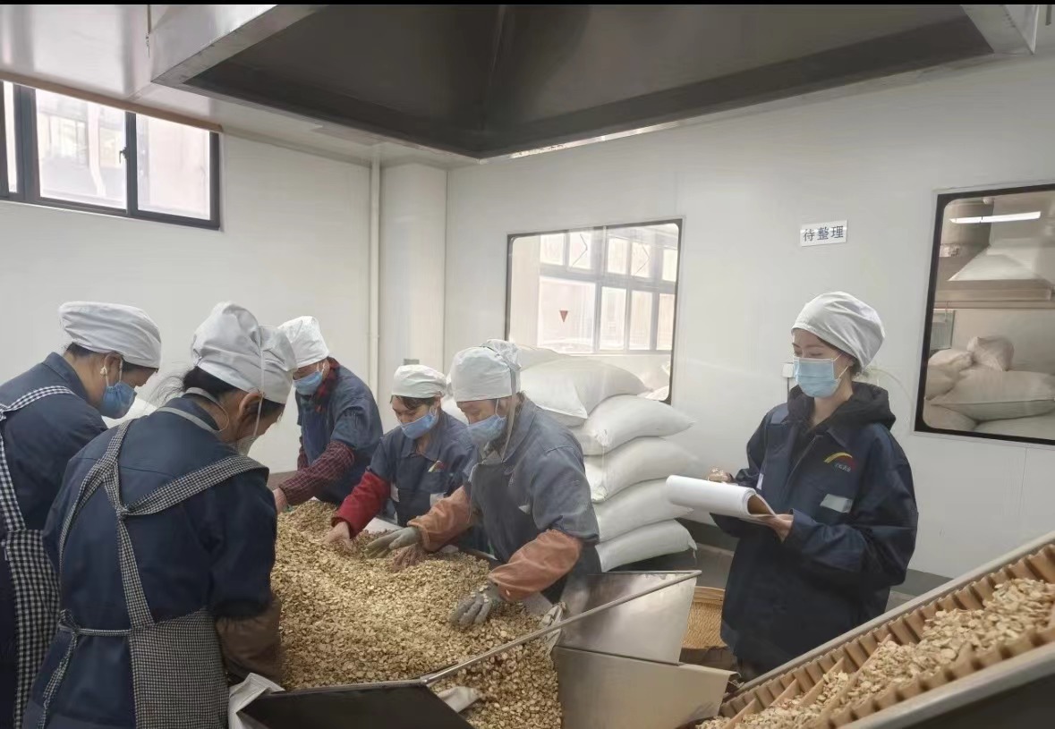 Qingdao Biohoer Biotech Co., Ltd. a officiellement commencé la construction