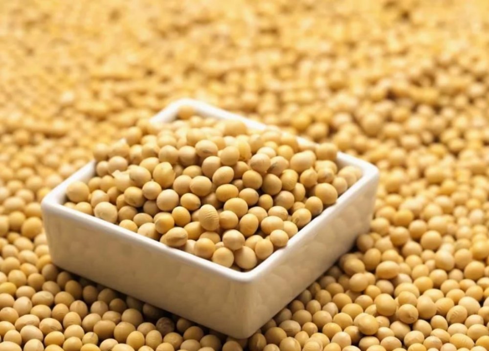 Quels sont les avantages des isoflavones de soja?
