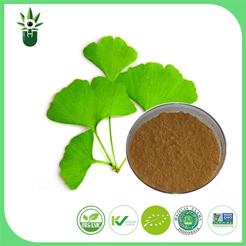 Quels symptômes l'extrait de feuilles de ginkgo biloba peuvent-ils être utilisés pour atténuer?