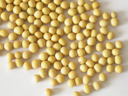 Quelles sont les fonctions et les effets des isoflavones de soja?