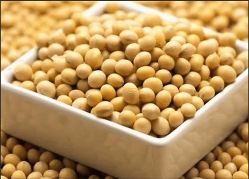 Quels sont les avantages des isoflavones de soja?