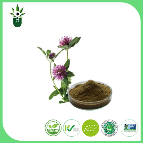 Extrait de Medicago sativa L