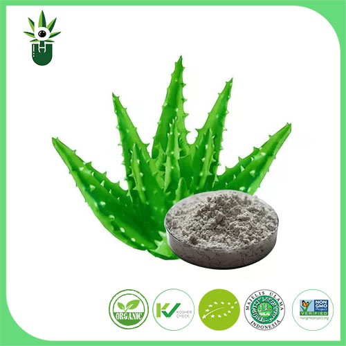 Extrait d'Aloe Vera